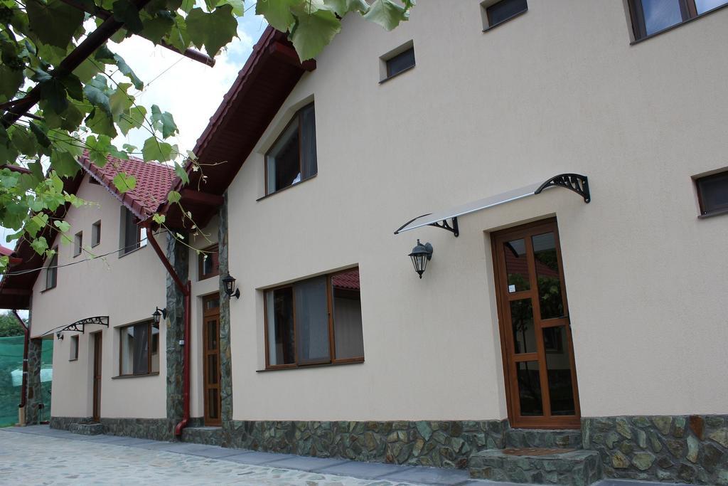 Pensiunea Casa Noastra Baia de Fier Exterior photo